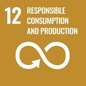 SDG 12 – Responsible Consumption and Production