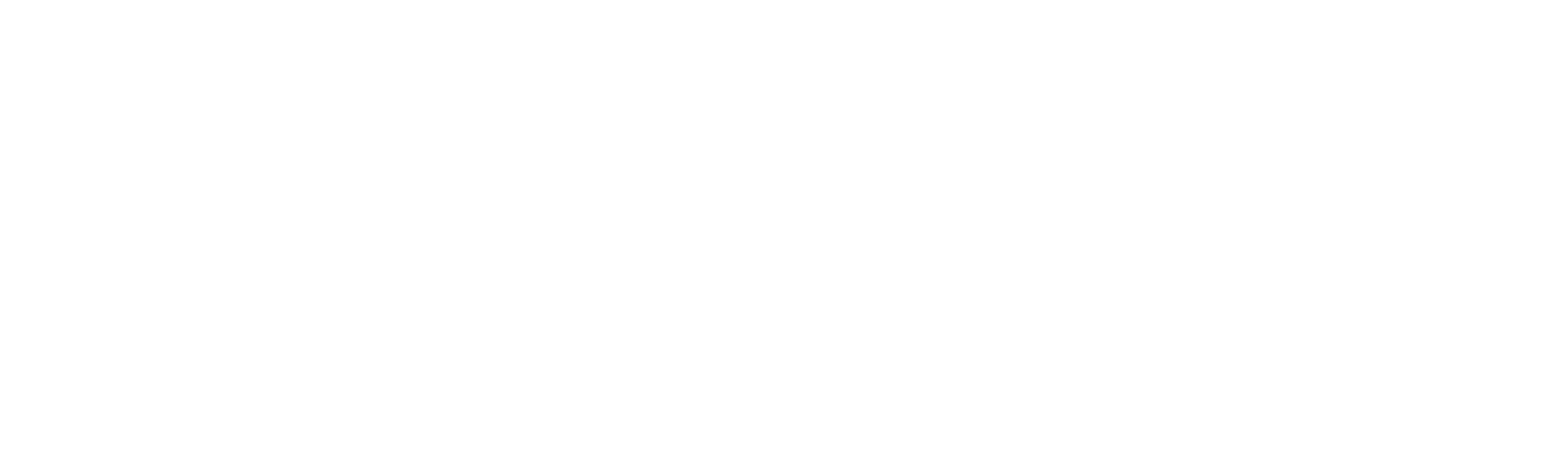 BeVisioneers